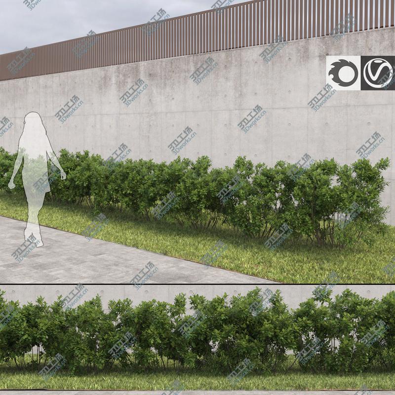 images/goods_img/2021040232/Bushes for Archviz/1.jpg